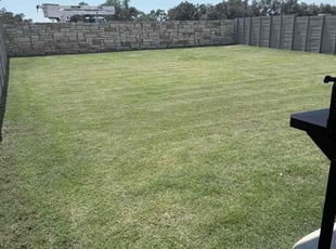 Matthew G.'s lawn care service result