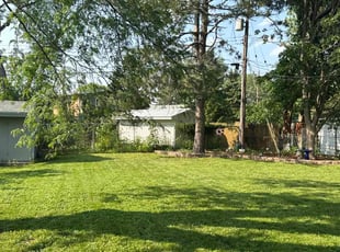 Lisa P.'s grass cutting service result