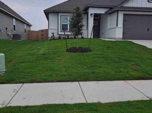 Athena S.'s lawn care services service result