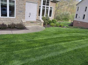 Cahya H.'s grass maintenance service result