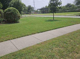 Duncan W.'s turf care service result