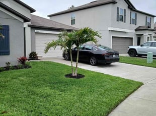 Anjali S.'s residential landscaping service result