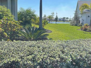 Tyler F.'s turf care service result