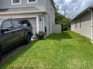 Alberto M.'s lawn service service result
