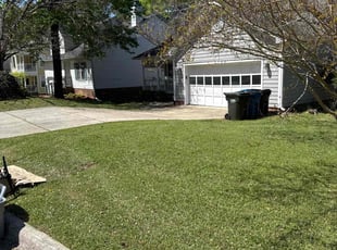 Hue D.'s lawn care services service result
