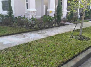 Shalaina J.'s turf maintenance service result