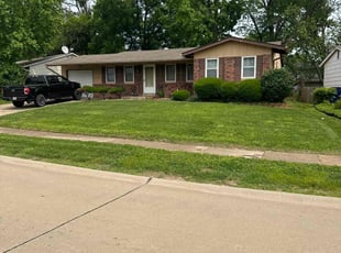 Grace B.'s grass cutting service result