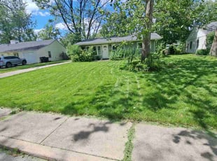 Pam K.'s lawn service service result