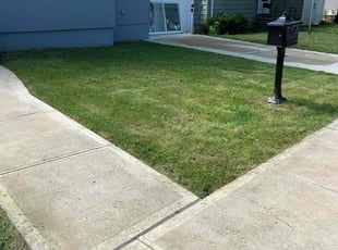 Carol K.'s lawn care service result