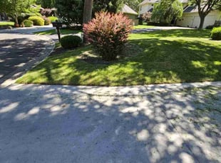 Carolyn R.'s lawn maintenance service result