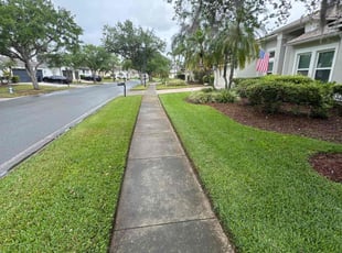 Allison C.'s lawn maintenance service result