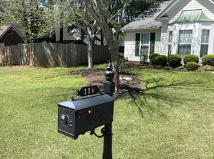 Silas E.'s grass cutting service result