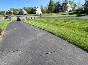 Yvette B.'s lawn care services service result