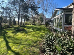 Katie M.'s lawn maintenance service result