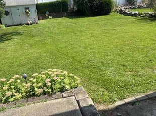 Lindsey V.'s grass cutting service result