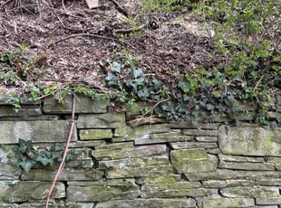 Amanda R.'s Cleanups service result