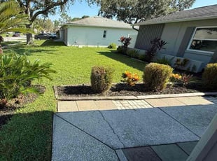 Paul L.'s Bush Trimming service result