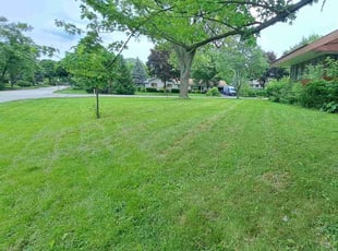 Adam S.'s lawn care services service result