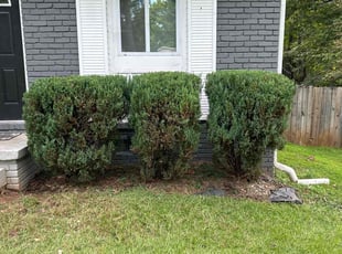 Roland M.'s Bush Trimming service result