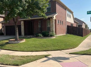 Soumya D.'s lawn care service result