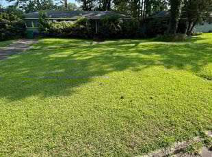 Ronnica W.'s lawn maintenance service result