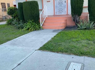 Brandon V.'s Garden Maintenance service result