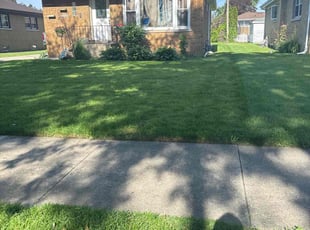 Lisa K.'s grass cutting service result
