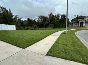 Tony O.'s lawn maintenance service result