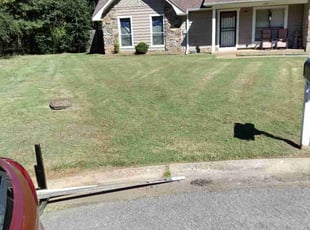 Holly P.'s grass cutting service result