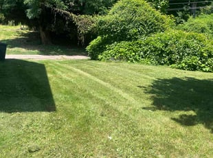 Heather B.'s turf maintenance service result