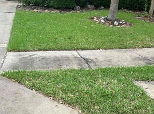 Cynthia C.'s lawn maintenance service result