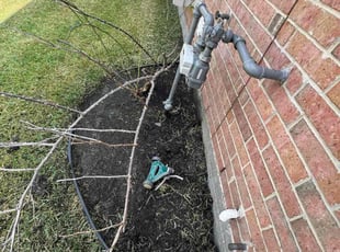 Donna B.'s Flower Bed Weeding service result