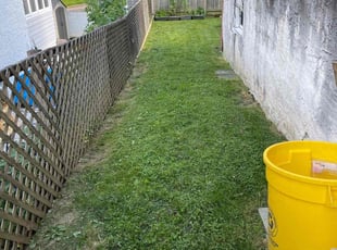 Sally H.'s turf maintenance service result