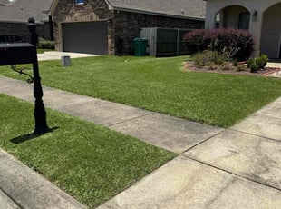 Karen M.'s turf maintenance service result