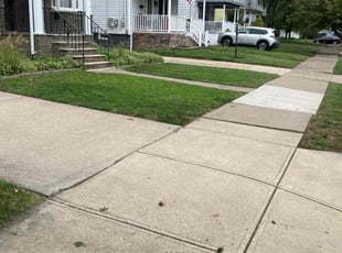 Rich W.'s lawn service service result