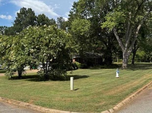 Adam F.'s lawn maintenance service result