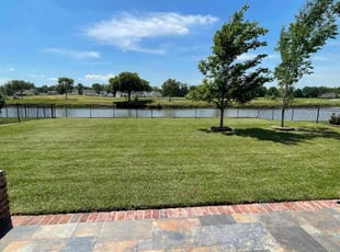 Jennifer C.'s grass maintenance service result