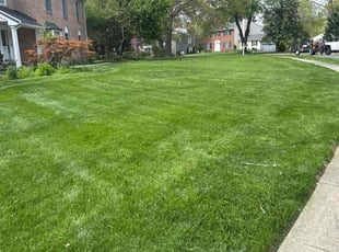 Jeff T.'s lawn care services service result