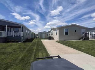 Emily P.'s grass maintenance service result