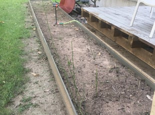 Jean V.'s Flower Bed Weeding service result