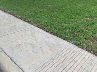 Nellie L.'s turf care service result