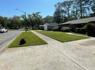 Candice N.'s turf maintenance service result