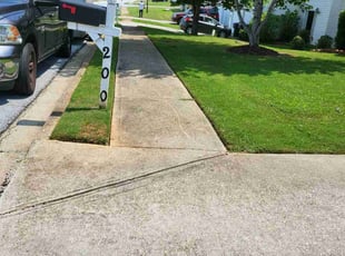 Natasha T.'s turf care service result