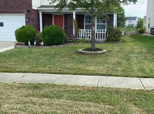 Darnell B.'s lawn service service result