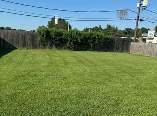 Wanda S.'s lawn care services service result