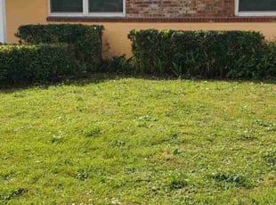 Belinda R.'s Bush Trimming service result