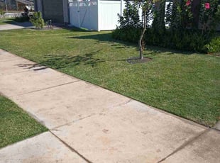 Renee A.'s turf maintenance service result