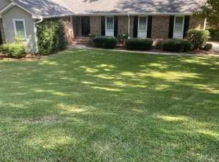 Jennifer P.'s lawn care services service result