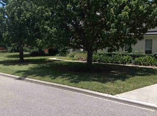 Jocelyn S.'s turf care service result