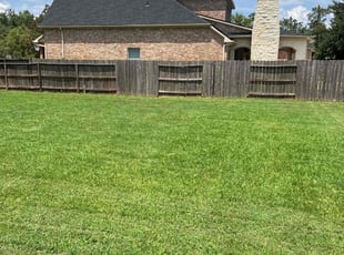 Walter F.'s lawn care service result